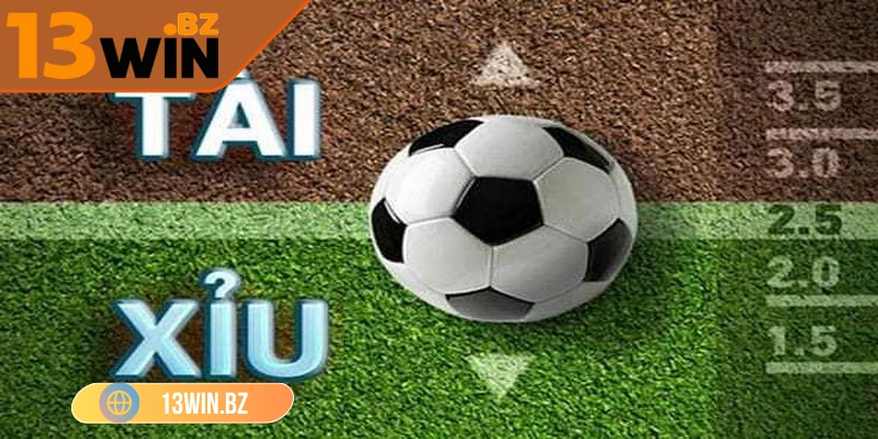 Kèo Tài Xỉu 13Win – Trò Chơi Dự Đoán Bóng Đá Thú Vị Nhất 2 13win-keo-tai-xiu-loai-ca-do-thu-vi