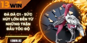da-ga-c1