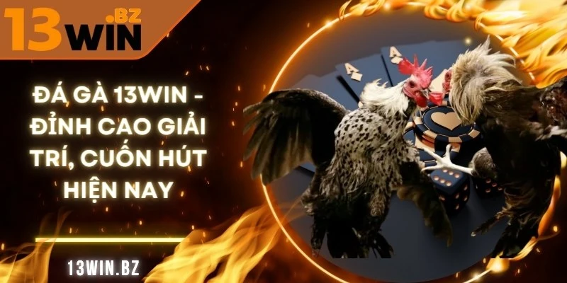 Đá Gà 13Win- Đỉnh Cao Giải Trí, Cuốn Hút Hiện Nay